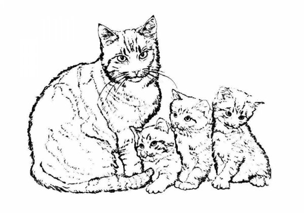 Разукрашка кошка с котятами