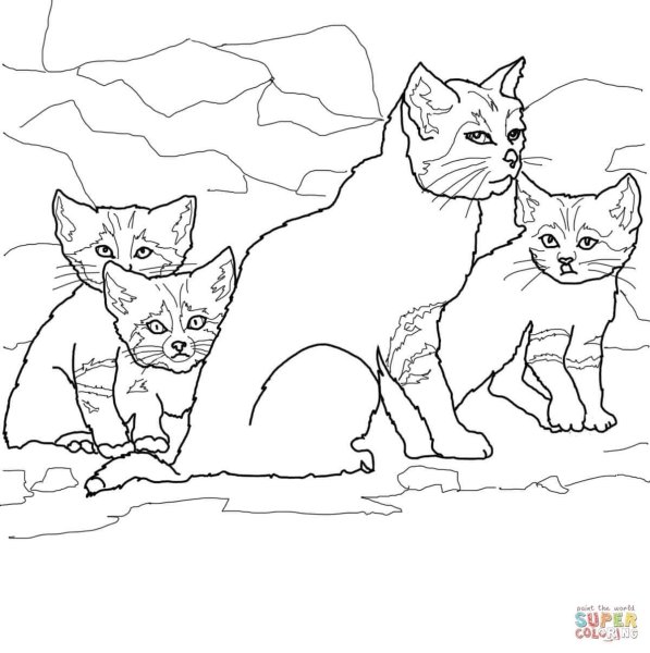 Раскраска кошка с котятами