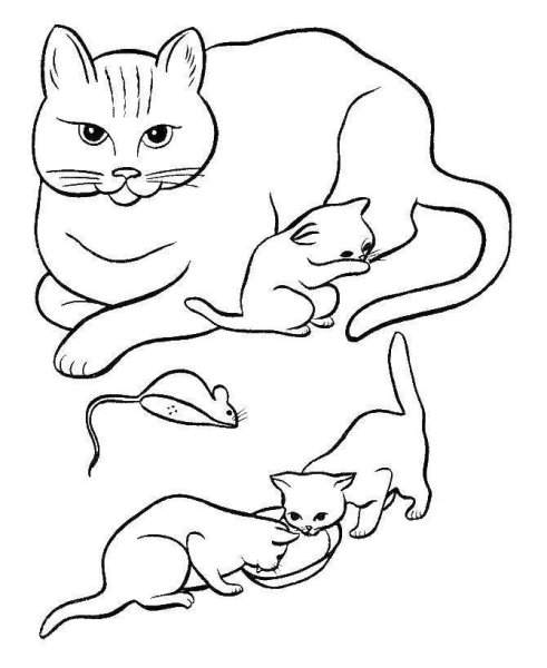 Раскраски семейство котов (46 фото)