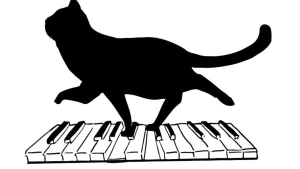 Котик на пианино