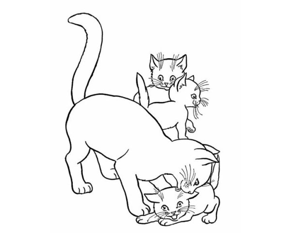 Раскраска котик с мамой
