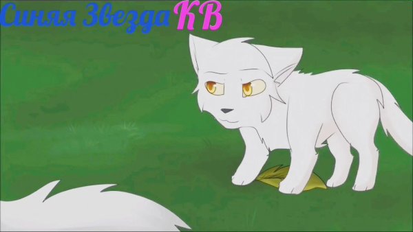 Коты Воители синяя звезда смерть Белогривки