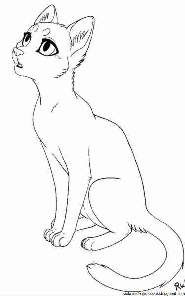 Коты Воители лайны