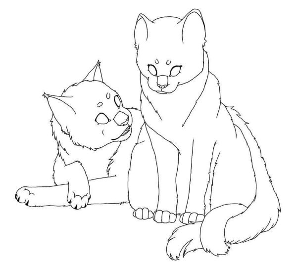 Коты Воители раскраска пары