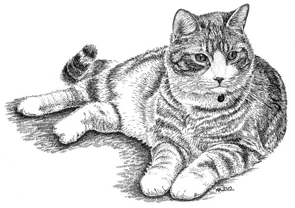 Нарисованные коты