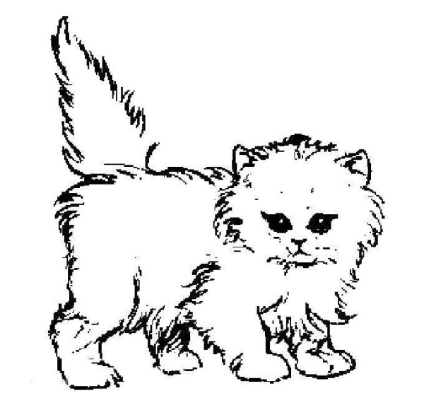 Раскраски кошка маруська (44 фото)
