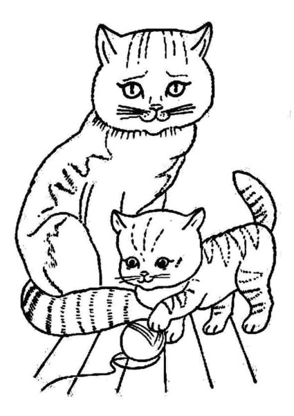 Кошка раскраска для детей