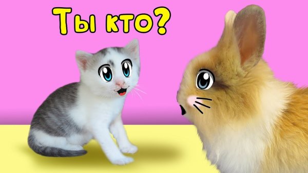 Кролик Баффи а ну ка давайка