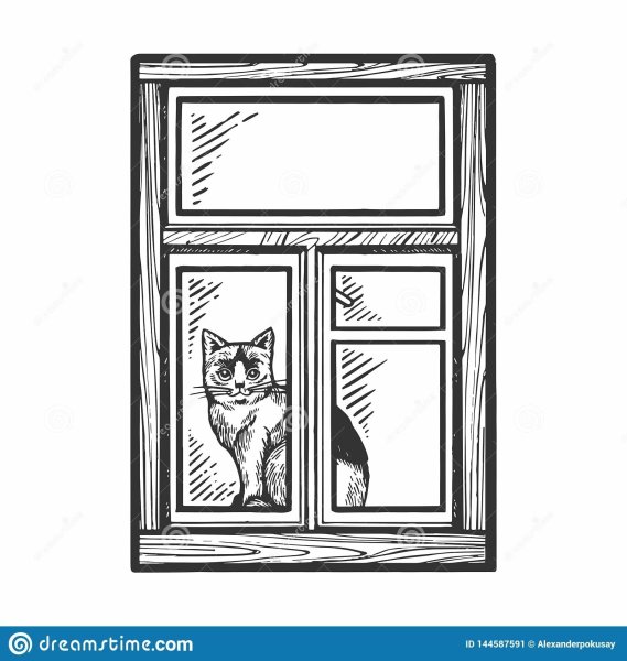 Кошка на окошке раскраска