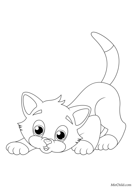 Котенок. Раскраска