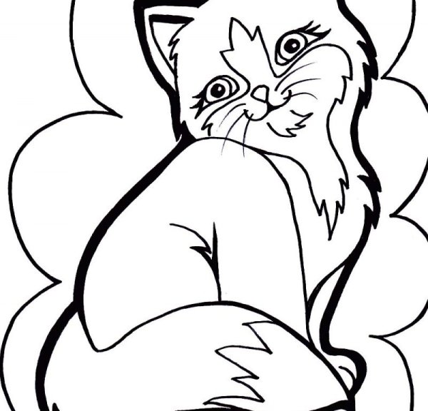 Кошки. Раскраска
