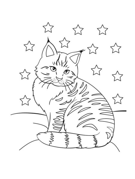 Раскраска котенок полосатый