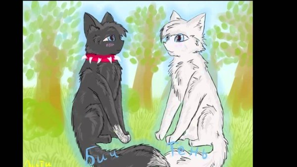 Коты Воители Бич и Кровоцапка