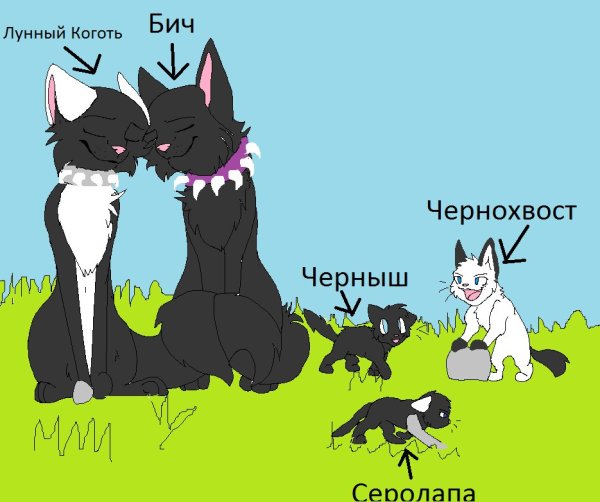 Коты Воители дети бича