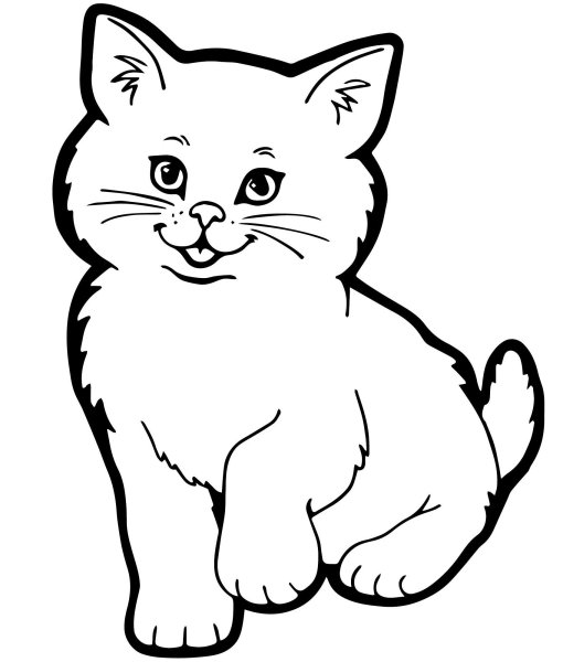 Кошка сидит на стуле