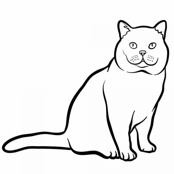Кот сидит раскраска