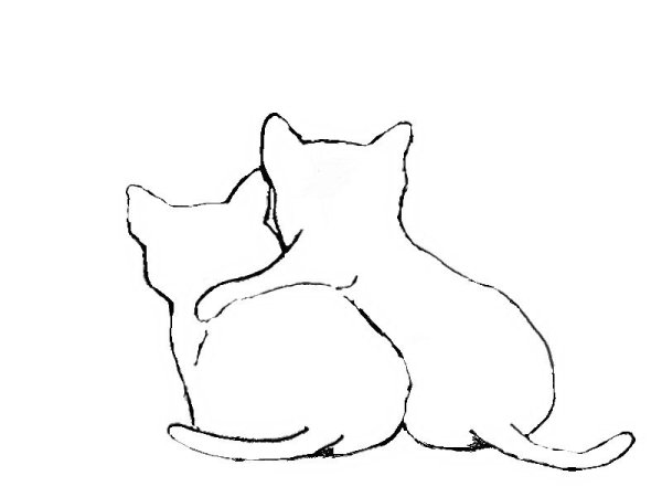 Кошки. Раскраска
