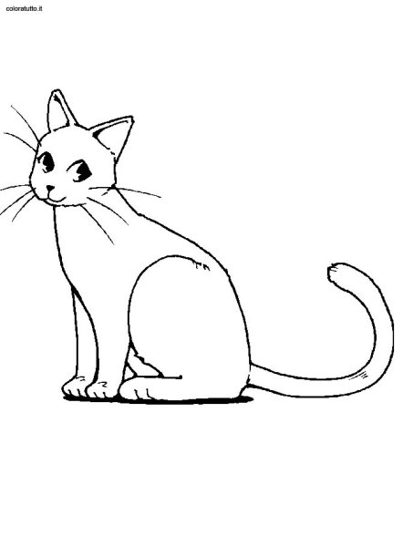 Пушистая кошка раскраска
