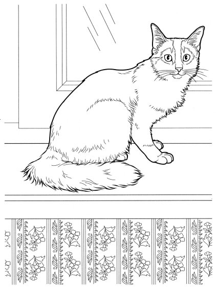 Кот умывается раскраска