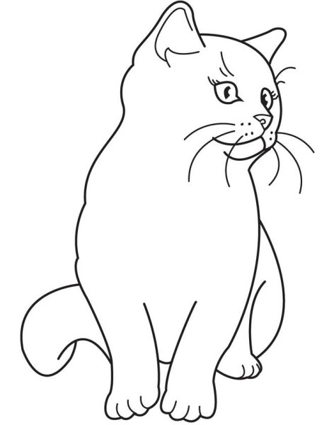 Нарисовать сидящего кота