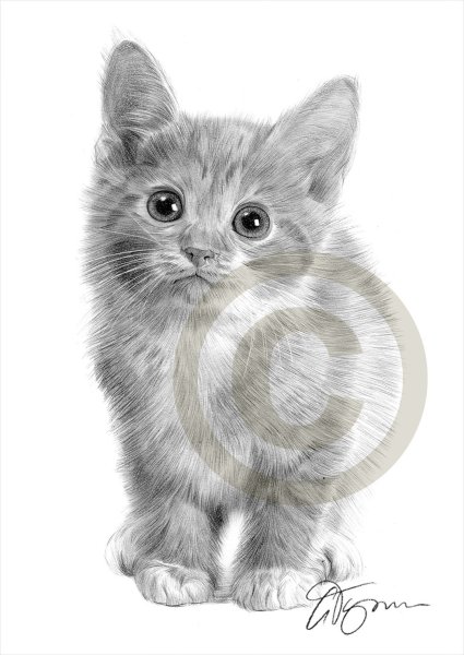 Нарисовать котенка