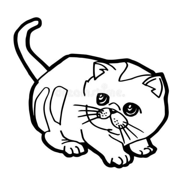 Вислоухая кошка раскраска