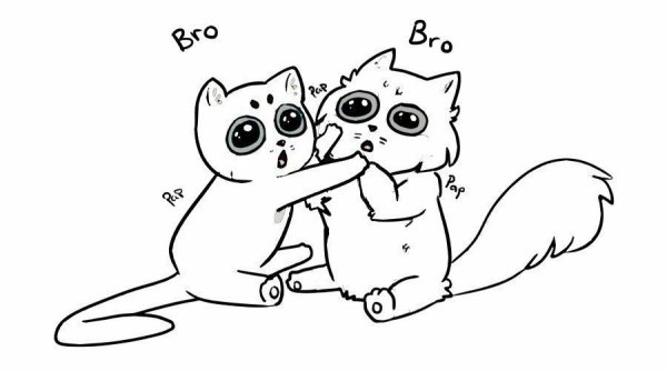 Коты Воители лайны друзья