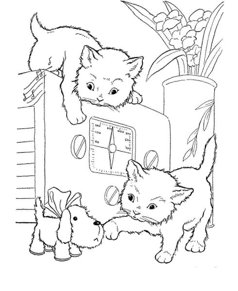 Котенок. Раскраска