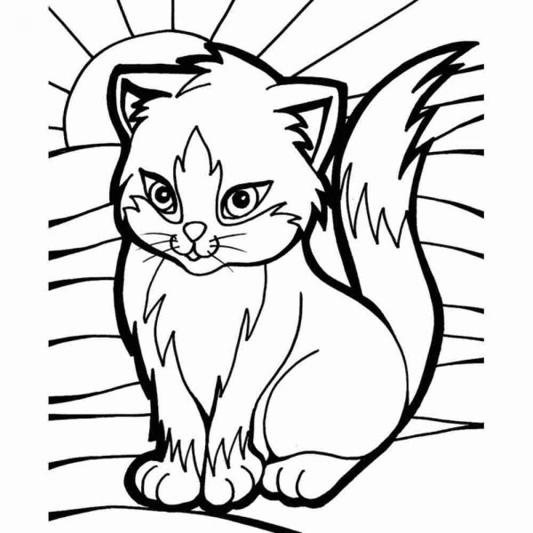 Кошки. Раскраска