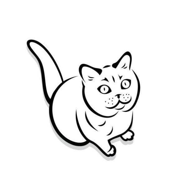 Раскраска британский кот