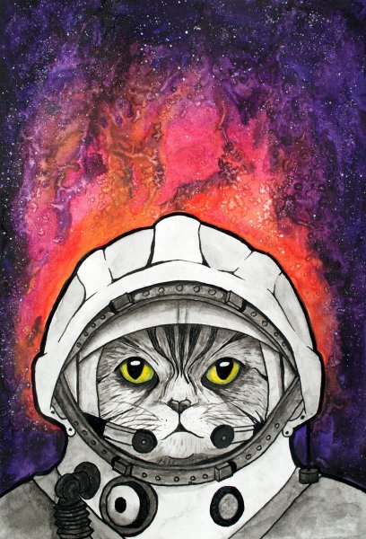 Кот космонавт