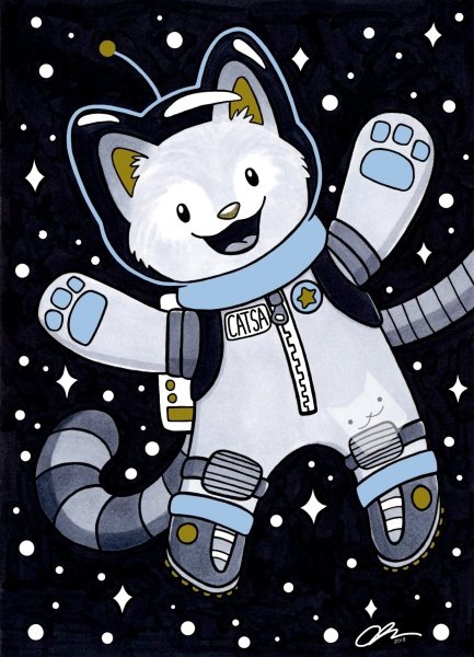 Кот космонавт