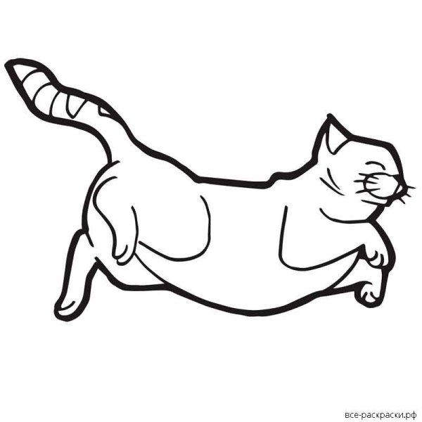Котик лежит раскраска