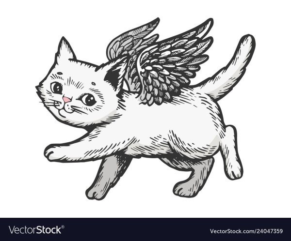 Летающий кот раскраска