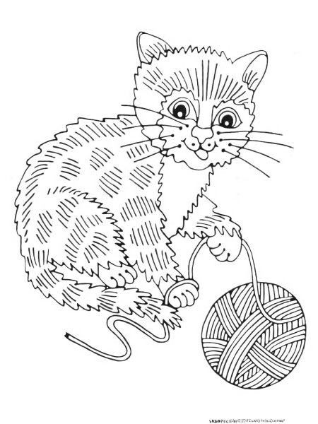 Котенок с клубочком раскраска