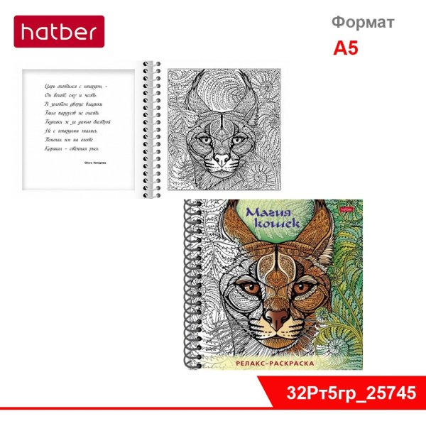 Раскраска релакс магия кошек Hatber