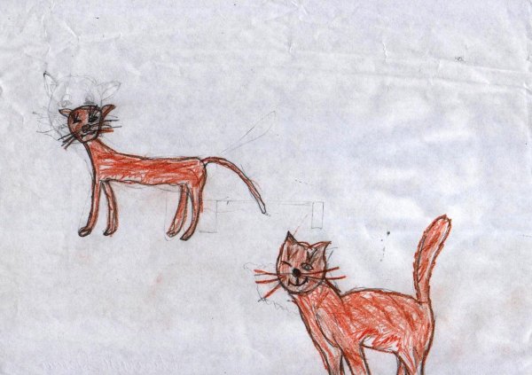 Раскраски к рассказу кот ворюга паустовский (43 фото)