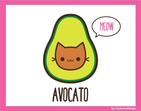 Раскраски кот авокадо (47 фото)