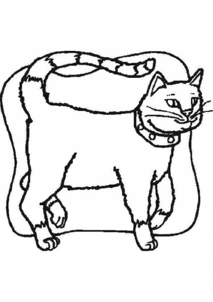 Кот ученый раскраска