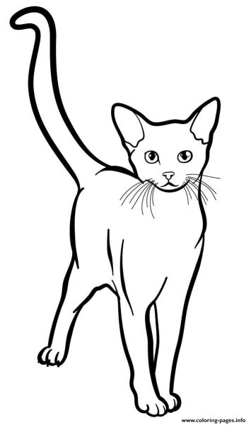 Кошка рисунок