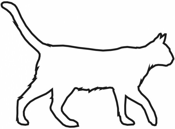 Контур кошки сбоку