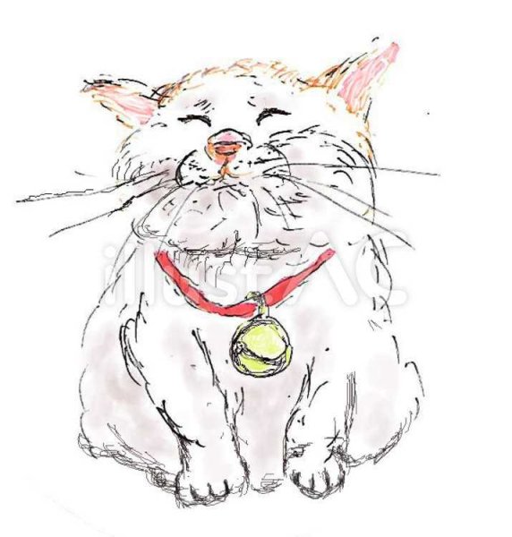 Кот с бубенцом