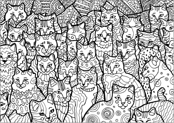 Много котят разукрасить