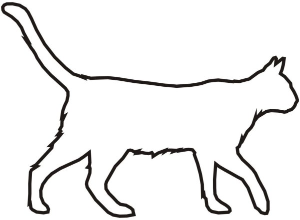 Контур кошки сбоку