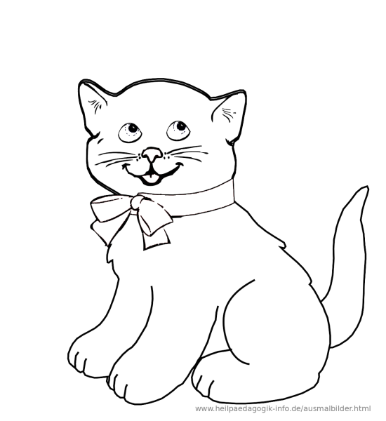 Раскраска. Котики
