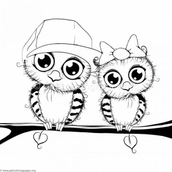 Котики Совушки раскраски