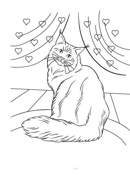 Кот Мейн кун