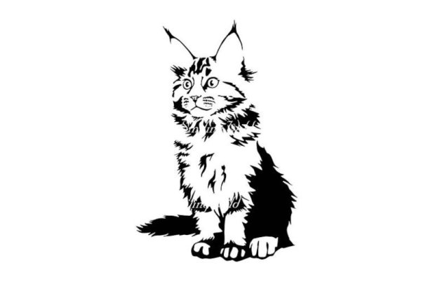 Кот Мейн кун вектор