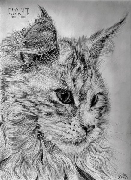 Сложные рисунки карандашом
