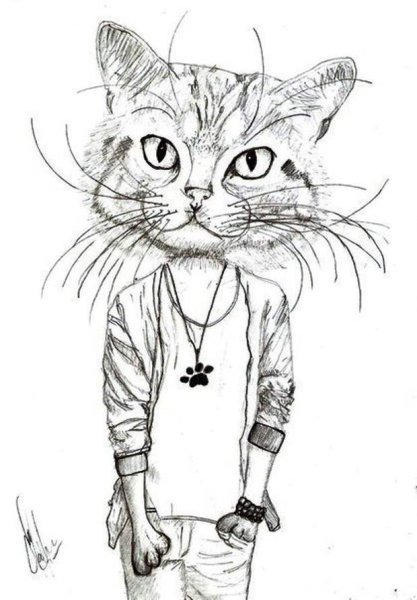 Крутые коты для срисовки